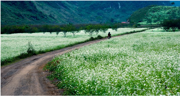 di-mai-chau-moc-chau